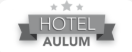Hotel Aulum